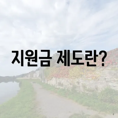 지원금 제도란?