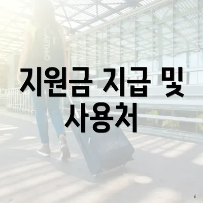 지원금 지급 및 사용처