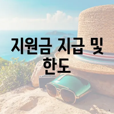 지원금 지급 및 한도