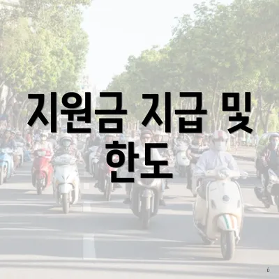 지원금 지급 및 한도