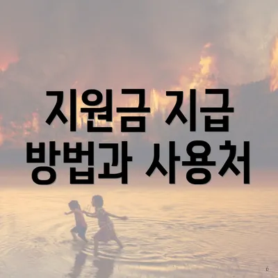지원금 지급 방법과 사용처