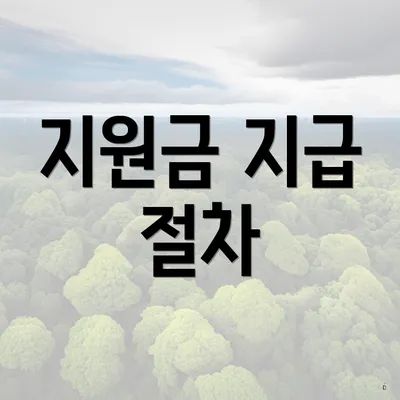지원금 지급 절차