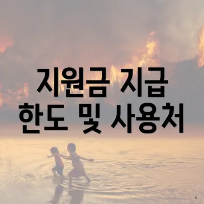 지원금 지급 한도 및 사용처