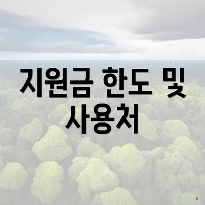 지원금 한도 및 사용처