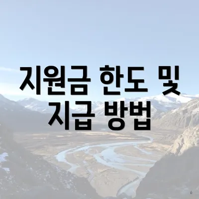 지원금 한도 및 지급 방법
