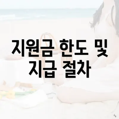 지원금 한도 및 지급 절차
