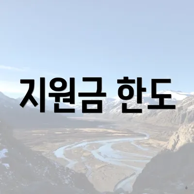 지원금 한도