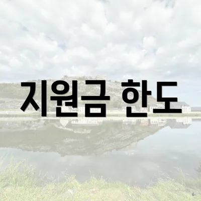 지원금 한도