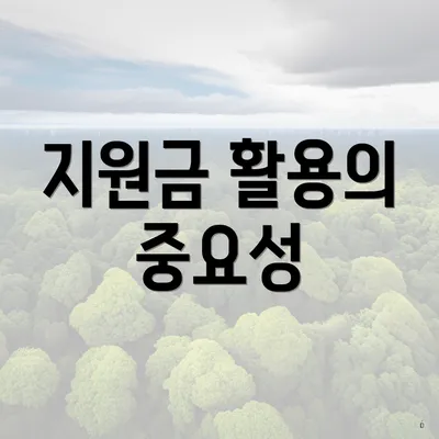 지원금 활용의 중요성