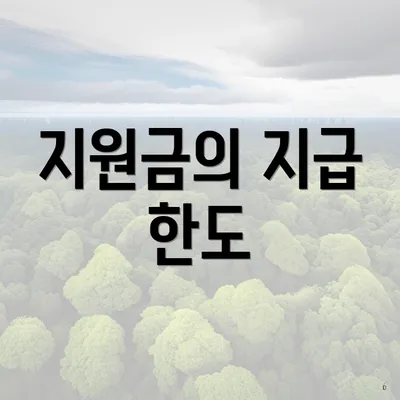 지원금의 지급 한도