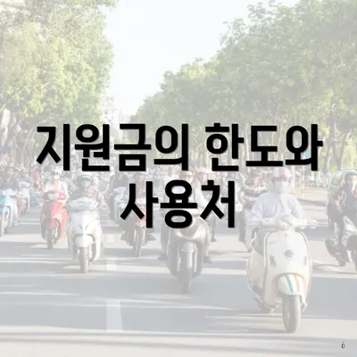 지원금의 한도와 사용처