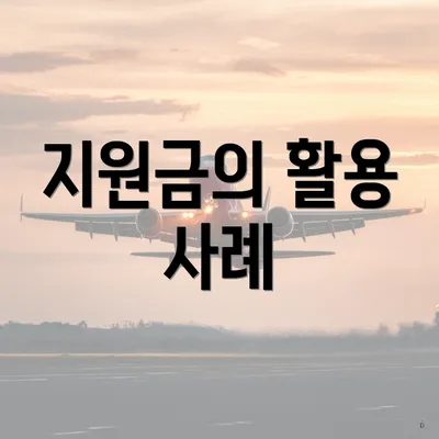 지원금의 활용 사례