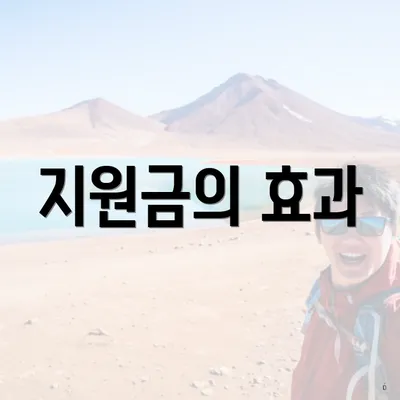 지원금의 효과