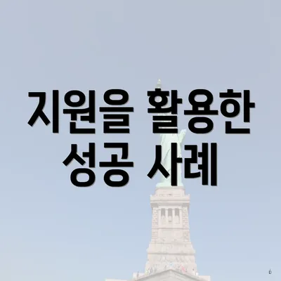 지원을 활용한 성공 사례