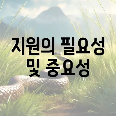 지원의 필요성 및 중요성