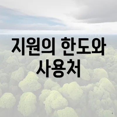 지원의 한도와 사용처