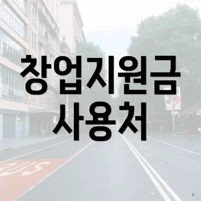 창업지원금 사용처
