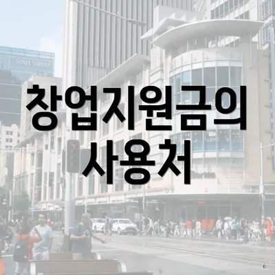 창업지원금의 사용처