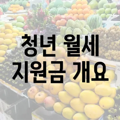 청년 월세 지원금 개요