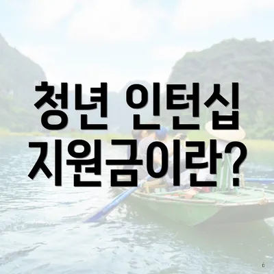 청년 인턴십 지원금이란?