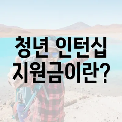 청년 인턴십 지원금이란?