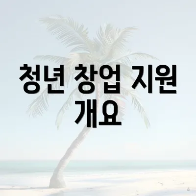 청년 창업 지원 개요