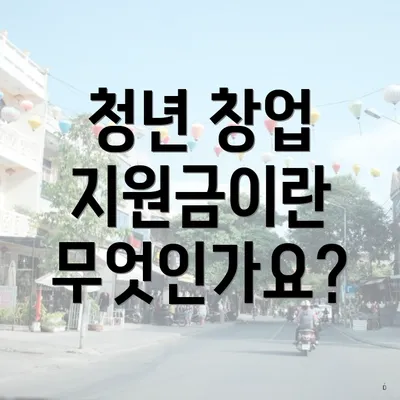 청년 창업 지원금이란 무엇인가요?