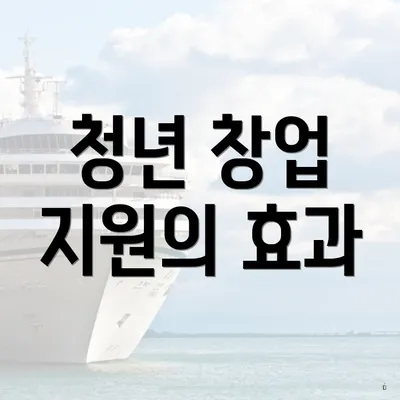 청년 창업 지원의 효과