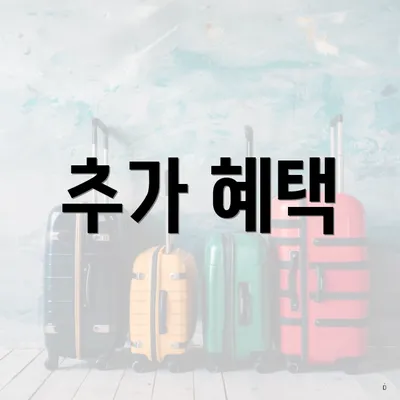 추가 혜택