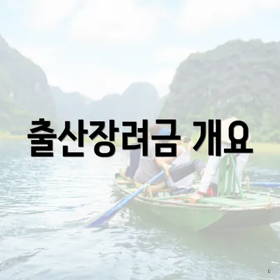 출산장려금 개요