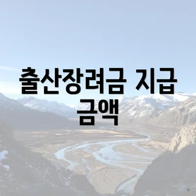 출산장려금 지급 금액