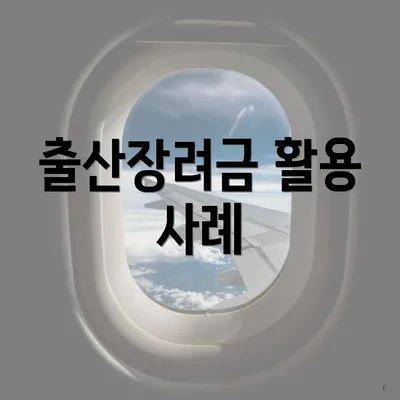 출산장려금 활용 사례