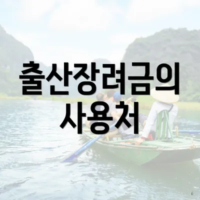 출산장려금의 사용처