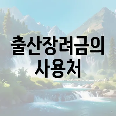 출산장려금의 사용처