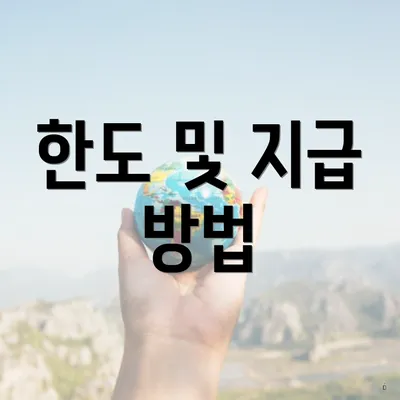 한도 및 지급 방법