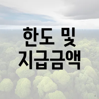 한도 및 지급금액