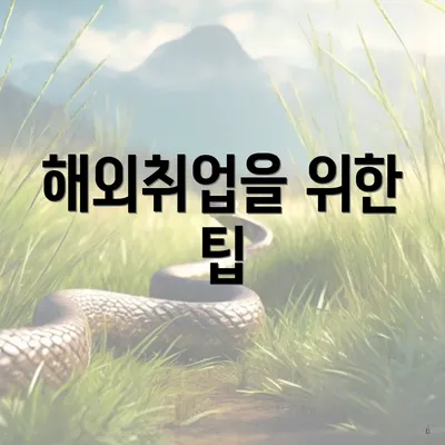 해외취업을 위한 팁