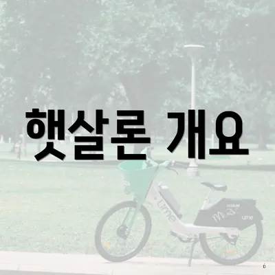 햇살론 개요
