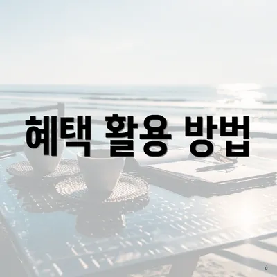 혜택 활용 방법